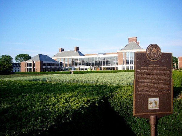 Universiy of Illinois Urbana- Champaign.JPG
