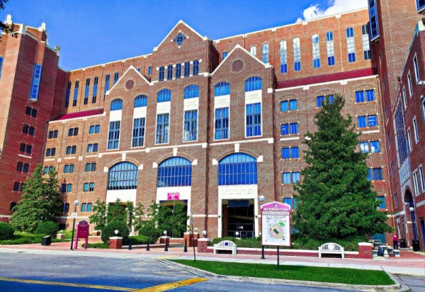 University of Florida.jpg